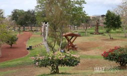 parc boisé du Port 