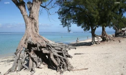 Plage de l\'hermitage 