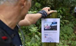 Disparition de Nicolas Aulezy : de nombreuses personnes regroupées à Piton Fougère pour le retrouver