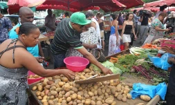 Marché forain 