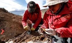 Universidad de Chile