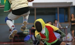 Canne de combat