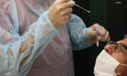 test coronavirus antigénique lycée jean hinglo le port