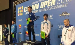 Tournoi international de lutte