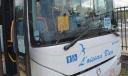 Bus scolaire TCO