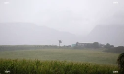 météo réunion 