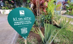 permis de planter à saint-denis 