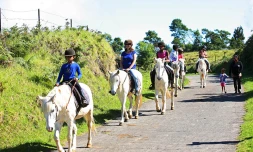 découverte, balade, cheval