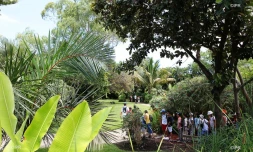 jardin d'Eden