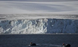 Dans la Péninsule Antarctique occidentale