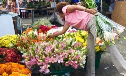 La Possession : les demandes d'autorisation de vente ambulante sont ouvertes
