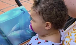 Le département organise l'opération 