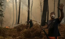 Un volontaire lutte contre le feu dans la forêt à Lanton (Gironde) le 29 juillet 2026 ( AFP / Ed JONES )
