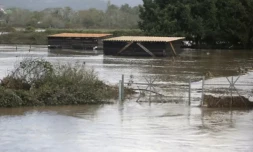 Des étables inondées dans un centre équestre après le passage de la tempête Domingos, le 5 novembre 2023 à Bastelicaccia, en Corse du Sud ( AFP / Pascal POCHARD-CASABIANCA )