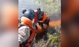 Bolivie : piégés après un crash d’avion, ils ont passé 36 heures dans un marais rempli de caïmans