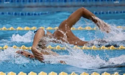 Natation
