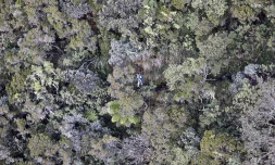 Grand raid 2019
