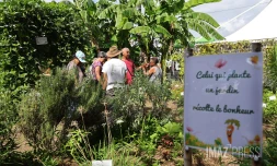 Foire agricole de Bras Panon