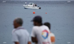 Attaque de requin au Port