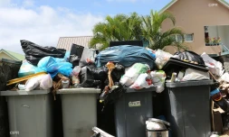 Poubelles Déchets 