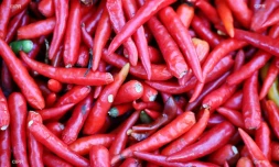légumes 