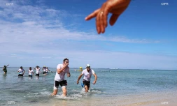 swim run 