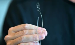 Un implant cérébral de la société Synchron, le 9 août 2023 à New York