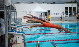 Natation