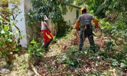 Cyclone Garance : le Département sollicite la SPL Edden pour des interventions d'urgence