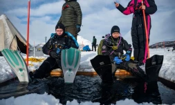 Des plongeurs participent Ă un stage scientifique de plongĂ©e polaire, le 14 mars 2026 sur le lac de KilpisjĂ€rvi, Ă l'extrĂȘme nord-ouest de la Finlande