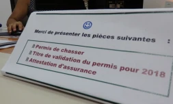 Ouverture vente des licences chasse au tangue