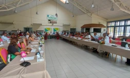 Subvention pour le victimes de l'incendie Montgaillard