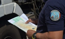 Insécurité routière