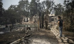 Un habitant inspecte les ruines des maisons du Porge (Gironde), dévastées par les flammes, le 26 juillet 2026. (JULIEN DE ROSA / AFP)