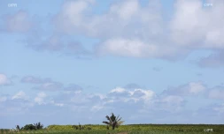 météo réunion 