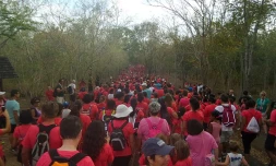 Odyssea 2014