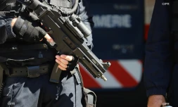 GIGN 