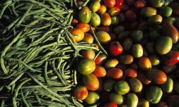 Légumes 