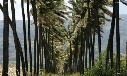 paysages 