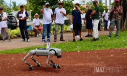 Chien robot, Technologies