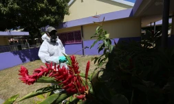 LUTTE CONTRE LE CHIKUNGUNYA