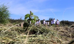 "Nout foret, nout péi" : 140 arbres plantés sur le littoral de Saint-Leu [?]