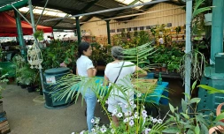 Compostage : des conseils gratuits avec les guides du TCO Ă Saint-Leu