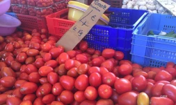 Fruits et légumes après Berguitta 