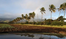 paysages 