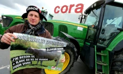 Les agriculteurs, à bout, multliplient les actions, notamment aux abords des zones d'activités commerciales. Photo prise à Reims, le 11 février 2016
