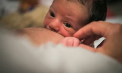 La croissance de la population française entre 2011 et 2016 a surtout été portée par les grandes aires urbaines du pays, notamment Lyon, Toulouse, Bordeaux