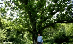 Le cultivateur Prek Gjeloshaj sous un châtaignier, le 19 juin 2023 à Rec, dans le nord de l'Albanie