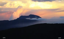 paysages 