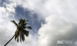 météo réunion
